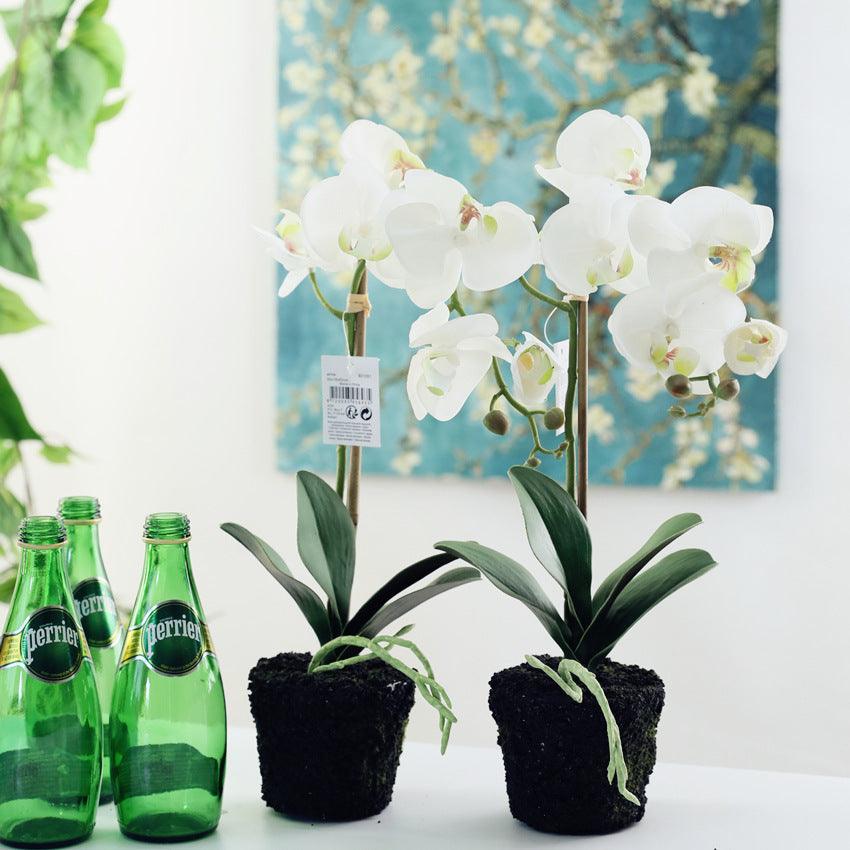 Ensemble de fleurs artificielles Phalaenopsis en pot