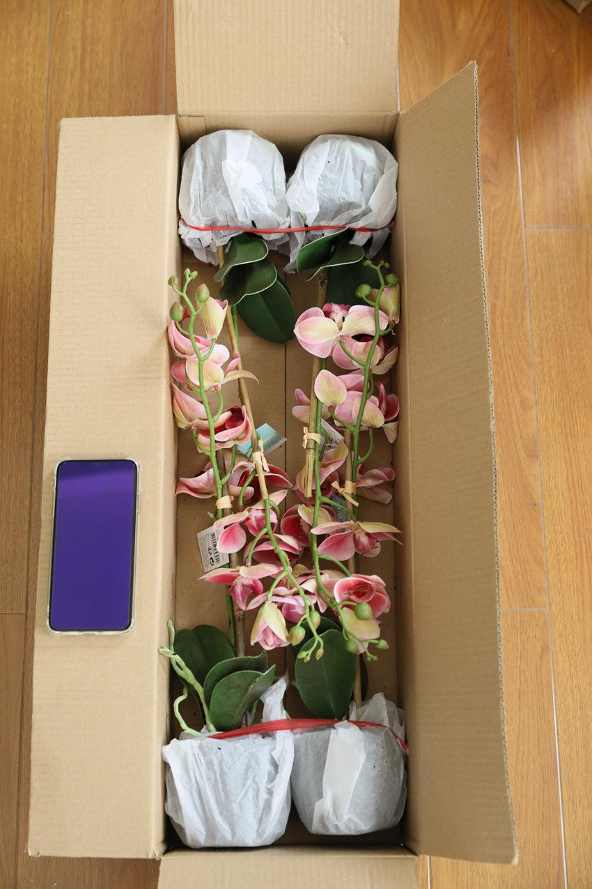 Ensemble de fleurs artificielles Phalaenopsis en pot
