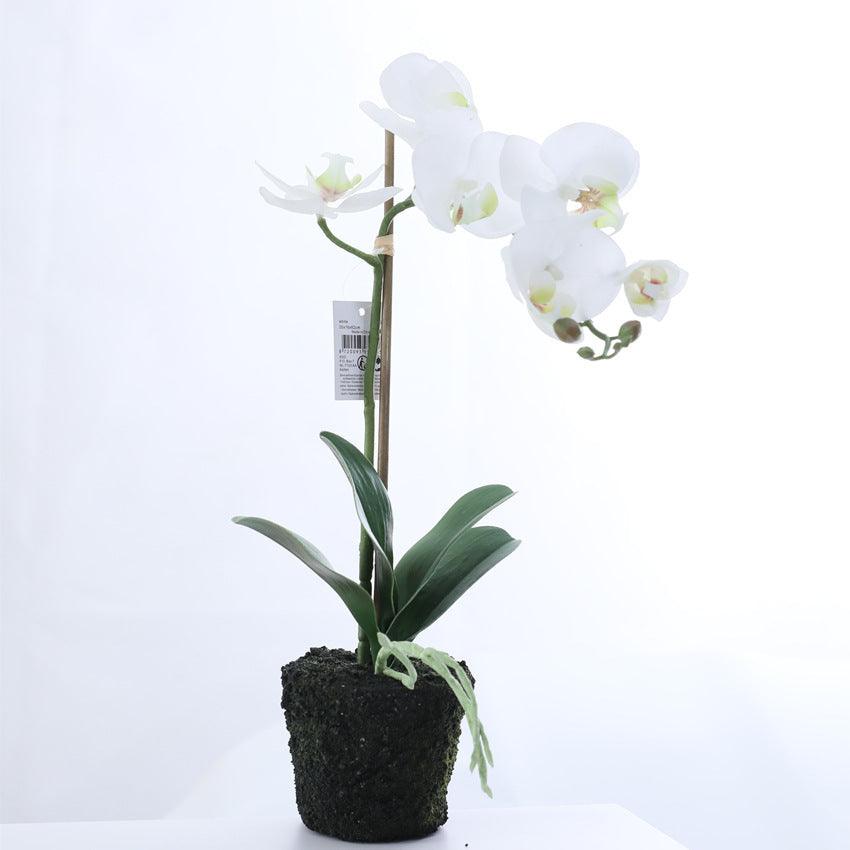Ensemble de fleurs artificielles Phalaenopsis en pot