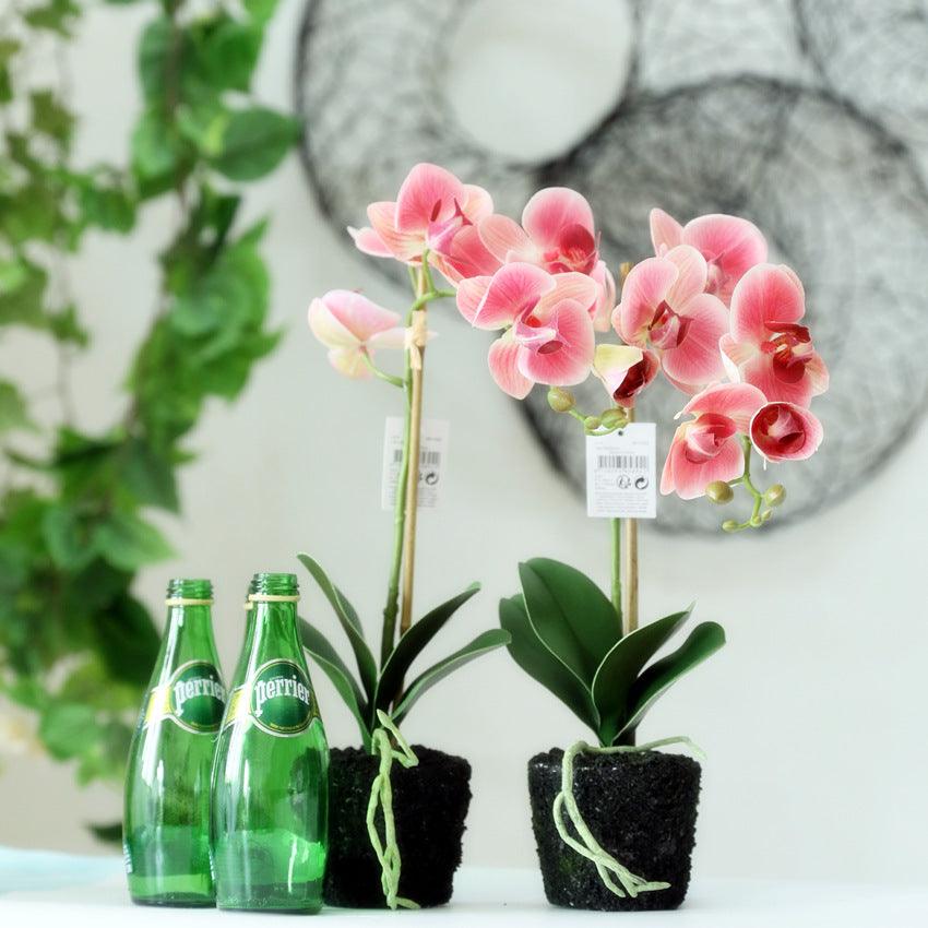 Ensemble de fleurs artificielles Phalaenopsis en pot