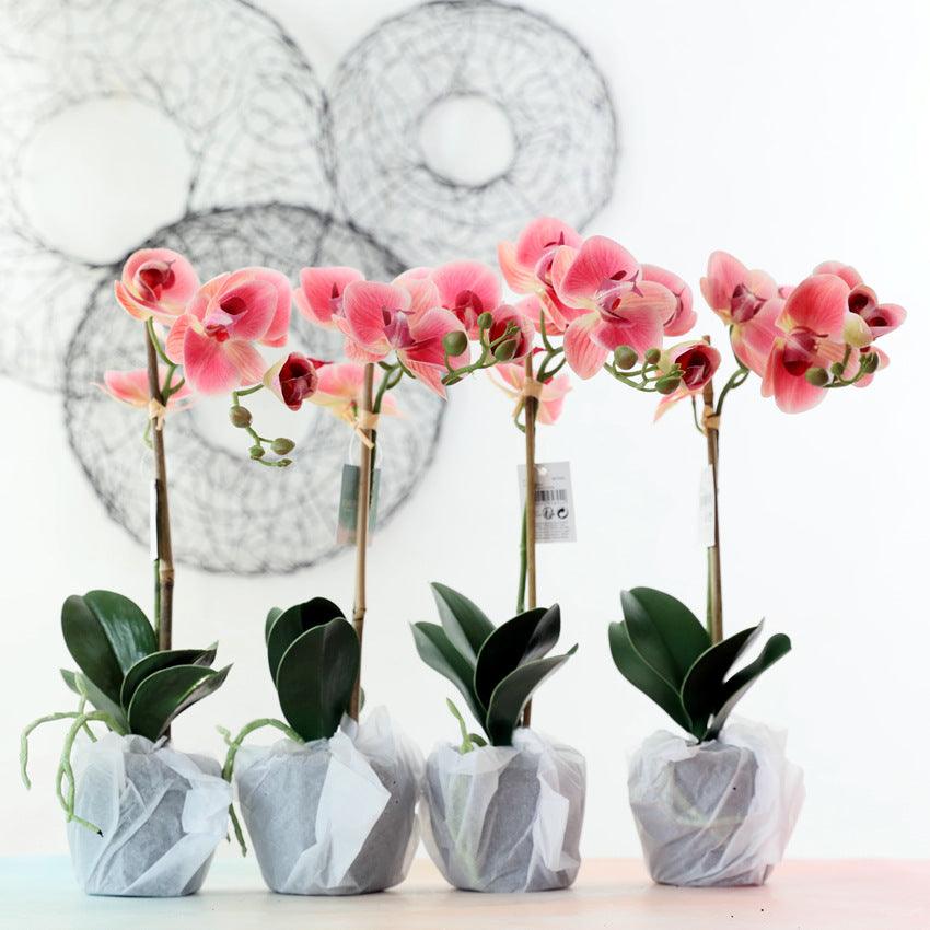 Ensemble de fleurs artificielles Phalaenopsis en pot