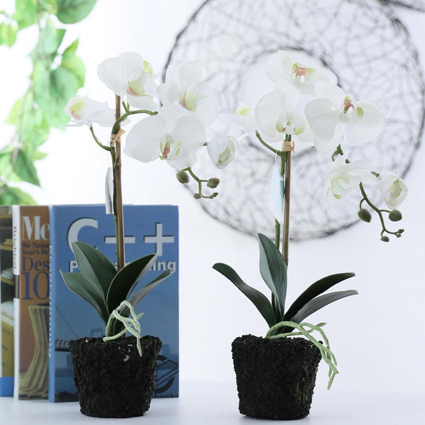 Ensemble de fleurs artificielles Phalaenopsis en pot