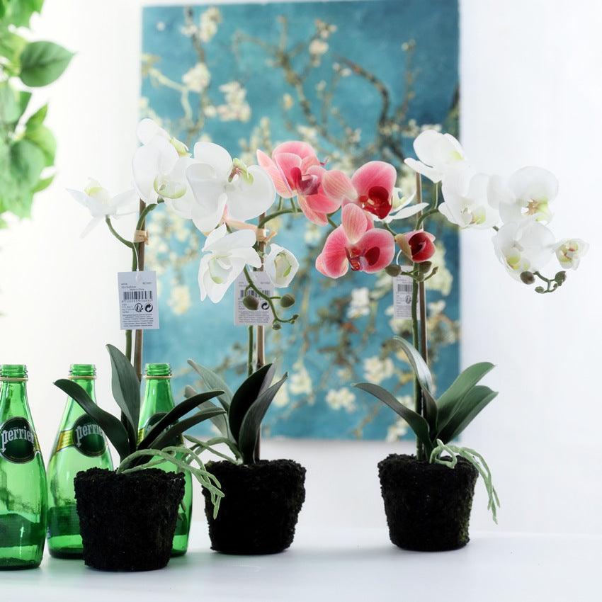 Ensemble de fleurs artificielles Phalaenopsis en pot