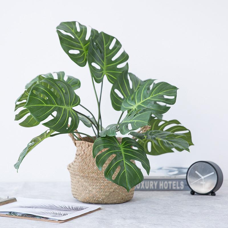 Plante de simulation Monstera