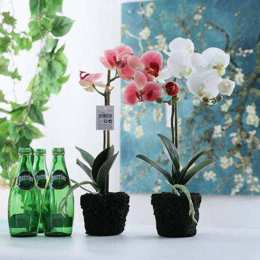 Ensemble de fleurs artificielles Phalaenopsis en pot