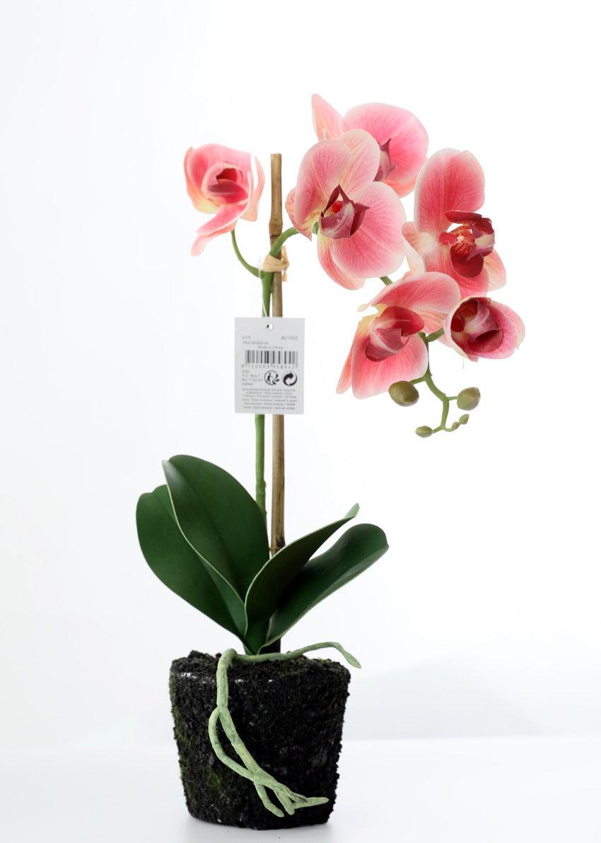 Ensemble de fleurs artificielles Phalaenopsis en pot
