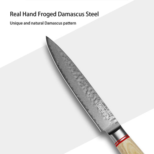 Couteau Nakiri Qulajoy 6,9 pouces, couteau à légumes professionnel, couteaux de cuisine japonais, couteau de chef Damas 67 couches, couteau de cuisine pour la maison et l'extérieur avec manche en bois ergonomique
